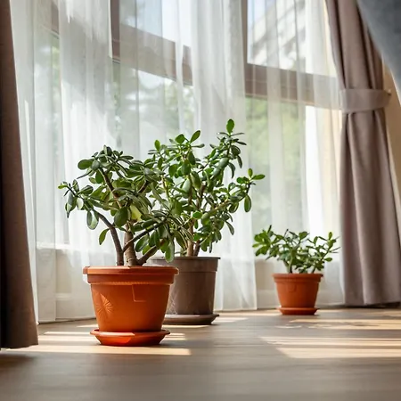 Daya 2br Luxury Apartment